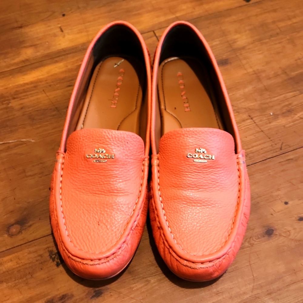 Coach Marely Drivers